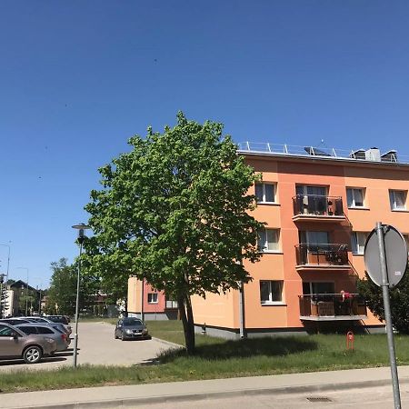 Neriesapartment No.3 With Terrace In Centrum Palanga Esterno foto